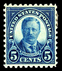 Theodore Roosevelt - Blue - Perf 10 United States Postage Stamp | Ordinary Postage Stamps - Issue of 1922