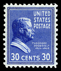 Theodore Roosevelt - Blue United States Postage Stamp | Presidential Series