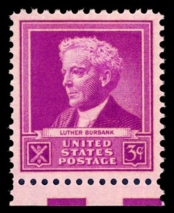 Luther Burbank United States Postage Stamp | Famous Americans - Scientists
