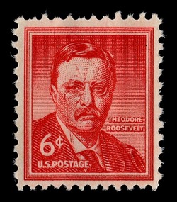 Theodore Roosevelt - Wet Printing United States Postage Stamp | Liberty Series