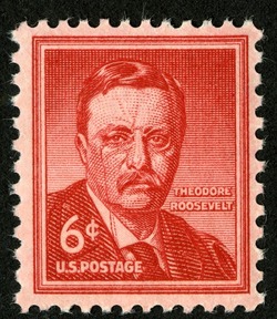 Theodore Roosevelt - Dry Printing United States Postage Stamp | Liberty Series