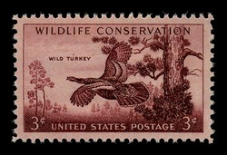Wild Turkey United States Postage Stamp | Wildlife Conservation
