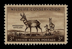 Pronghorn Antelope United States Postage Stamp | Wildlife Conservation