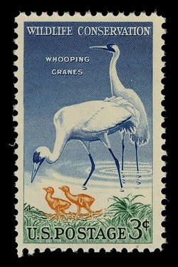 Whooping Cranes United States Postage Stamp | Wildlife Conservation
