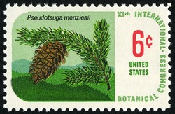 Douglas Fir United States Postage Stamp | International Botanical Congress