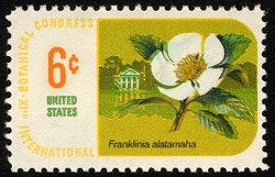 Franklinia United States Postage Stamp | International Botanical Congress