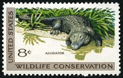 Alligator United States Postage Stamp | Wildlife Conservation