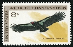 California Condor United States Postage Stamp | Wildlife Conservation