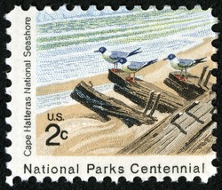 Cape Hatteras National Seashore - Three Seagulls United States Postage Stamp | National Parks Centennial