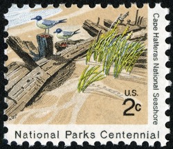 Cape Hatteras National Seashore - Two Seagulls United States Postage Stamp | National Parks Centennial