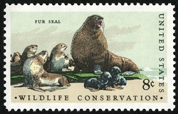 Fur Seal United States Postage Stamp | Wildlife Conservation