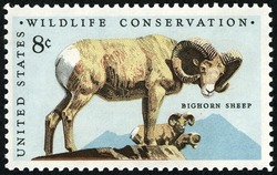 Bighorn Sheep United States Postage Stamp | Wildlife Conservation