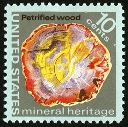 Petrified Wood United States Postage Stamp | Mineral Heritage