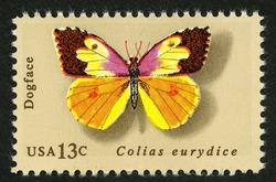 Dogface United States Postage Stamp | Butterflies