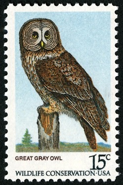 Great Gray Owl United States Postage Stamp | Owls - Wildlife Conservation