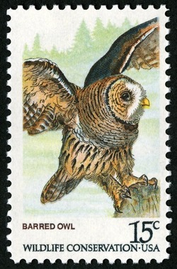 Barred Owl United States Postage Stamp | Owls - Wildlife Conservation