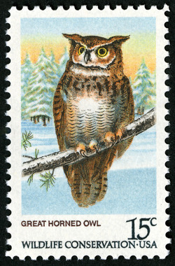 Great Horned Owl United States Postage Stamp | Owls - Wildlife Conservation