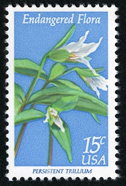 Persistent Trillium United States Postage Stamp | Endangered Flora