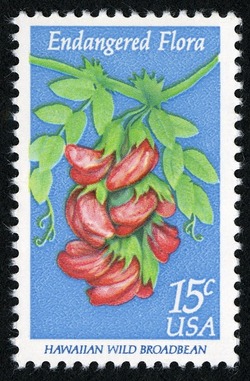 Hawaiian Wild Broadbean United States Postage Stamp | Endangered Flora