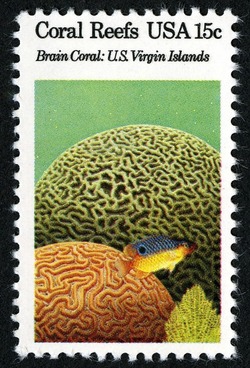 Brain Coral United States Postage Stamp | Coral Reefs