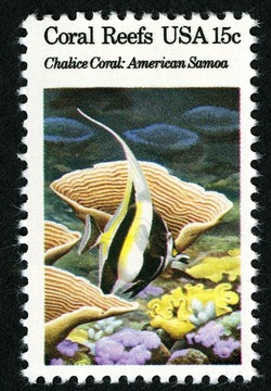 Chalice Coral United States Postage Stamp | Coral Reefs