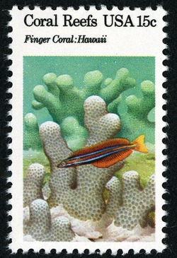 Finger Coral United States Postage Stamp | Coral Reefs