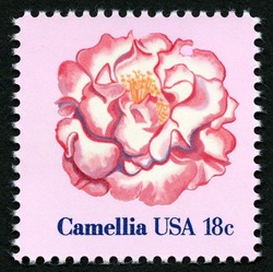 Camellia United States Postage Stamp | Flowers