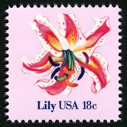 Lily United States Postage Stamp | Flowers