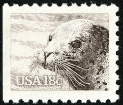 Harbor Seal United States Postage Stamp | Wildlife of America