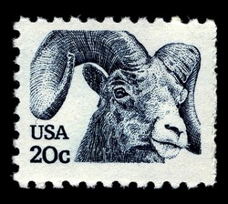 Bighorn Sheep United States Postage Stamp