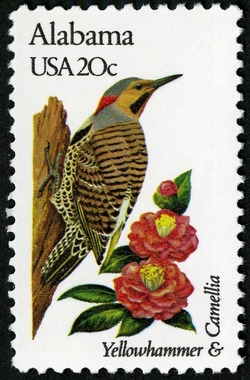Alabama - Line Perf United States Postage Stamp | State Birds and Flowers
