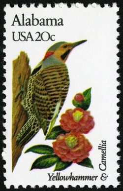 Alabama - Comb Perf United States Postage Stamp | State Birds and Flowers