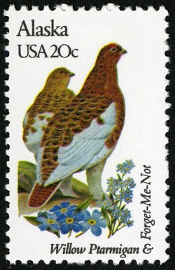 Alaska - Comb Perf United States Postage Stamp | State Birds and Flowers