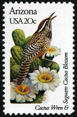Arizona - Line Perf United States Postage Stamp | State Birds and Flowers