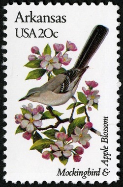 Arkansas - Line Perf United States Postage Stamp | State Birds and Flowers