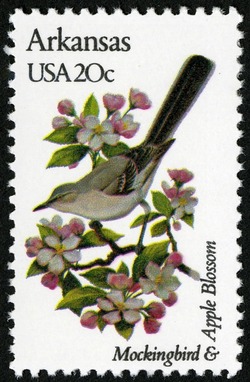 Arkansas - Comb Perf United States Postage Stamp | State Birds and Flowers