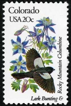 Colorado - Line Perf United States Postage Stamp | State Birds and Flowers