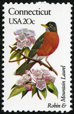 Connecticut - Line Perf United States Postage Stamp | State Birds and Flowers