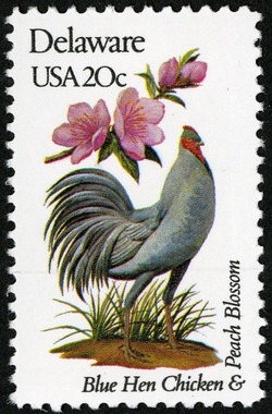 Delaware - Line Perf United States Postage Stamp | State Birds and Flowers