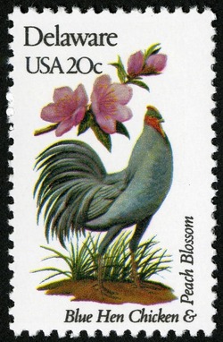 Delaware - Comb Perf United States Postage Stamp | State Birds and Flowers
