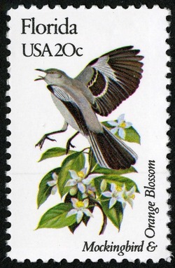 Florida - Line Perf United States Postage Stamp | State Birds and Flowers