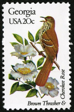 Georgia - Line Perf United States Postage Stamp | State Birds and Flowers