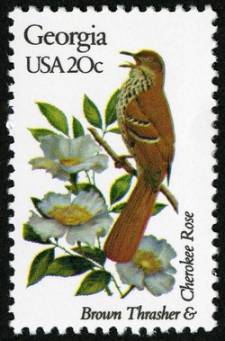 Georgia - Comb Perf United States Postage Stamp | State Birds and Flowers