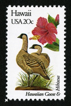 Hawaii - Line Perf United States Postage Stamp | State Birds and Flowers