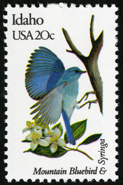 Idaho - Comb Perf United States Postage Stamp | State Birds and Flowers