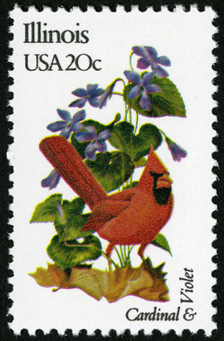 Illinois - Comb Perf United States Postage Stamp | State Birds and Flowers