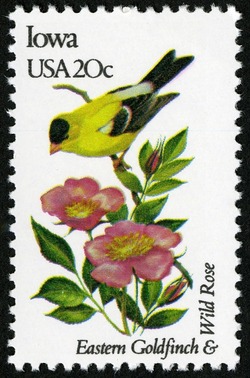 Iowa - Comb Perf United States Postage Stamp | State Birds and Flowers