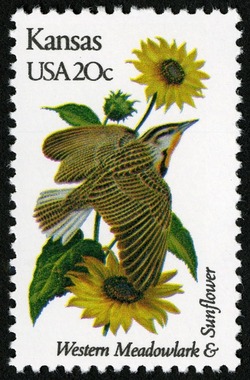 Kansas - Comb Perf United States Postage Stamp | State Birds and Flowers