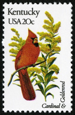 Kentucky - Comb Perf United States Postage Stamp | State Birds and Flowers