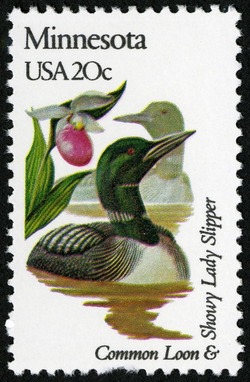Minnesota - Comb Perf United States Postage Stamp | State Birds and Flowers